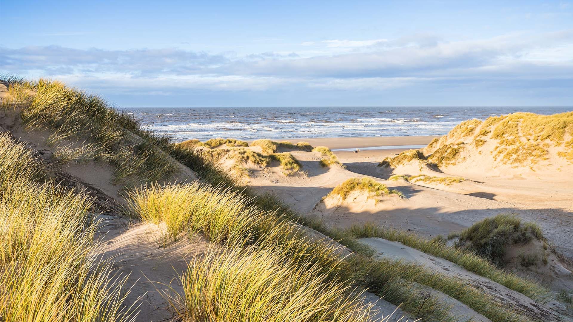 Live market data in Formby